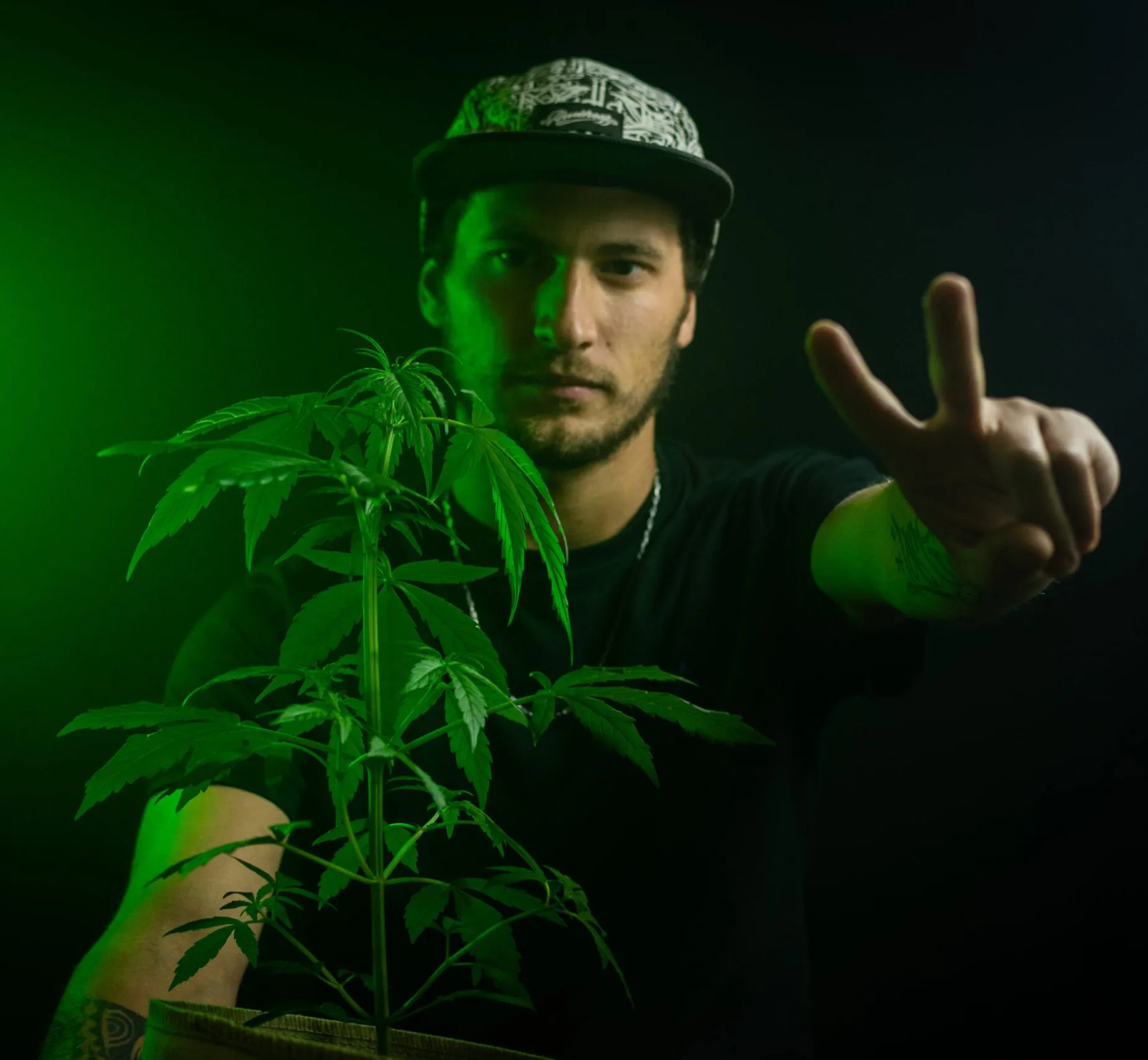 CURSO DE CULTIVO